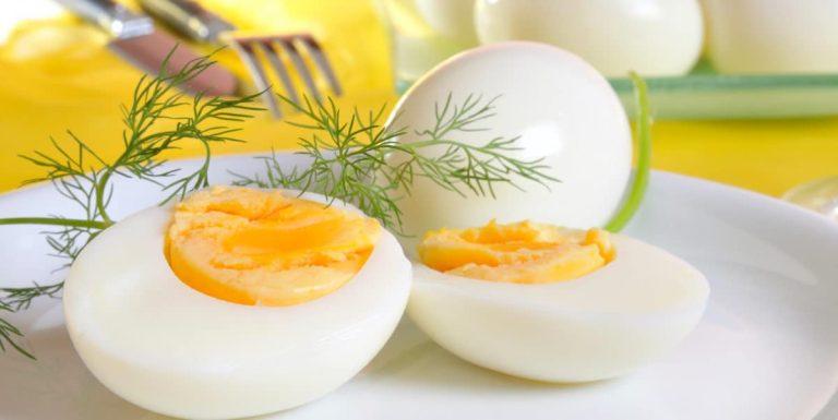 Benefits of Adding Eggs to Your Diet: